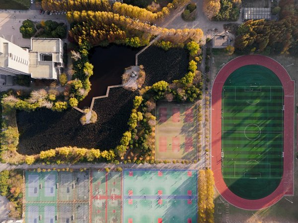 How Does the Cultural Impact of Football Influence British Society?