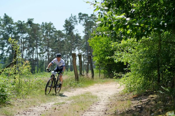 Why Is the Popularity of Football Surging in the UK?